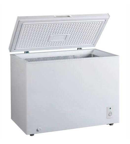 Congélateur FrigeluX CCO300BE 290L